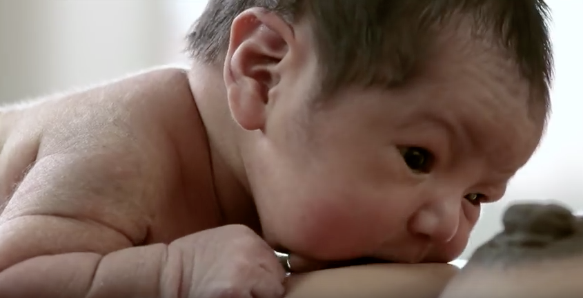 Dieses Video zeigt ein Neugeborenes, wie es nach der Geburt instinktiv die Brustwarze sucht
