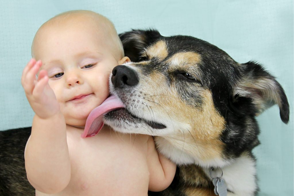 Ein Hund ist gut für die Gesundheit deines Babys!