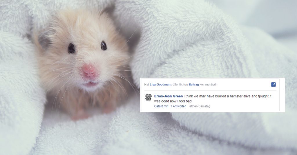 Mütter weltweit fürchten Hamster tot begraben zu haben