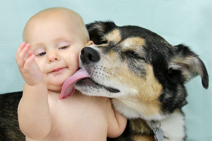 Experte warnt! Warum Hunde Kinder krank machen können