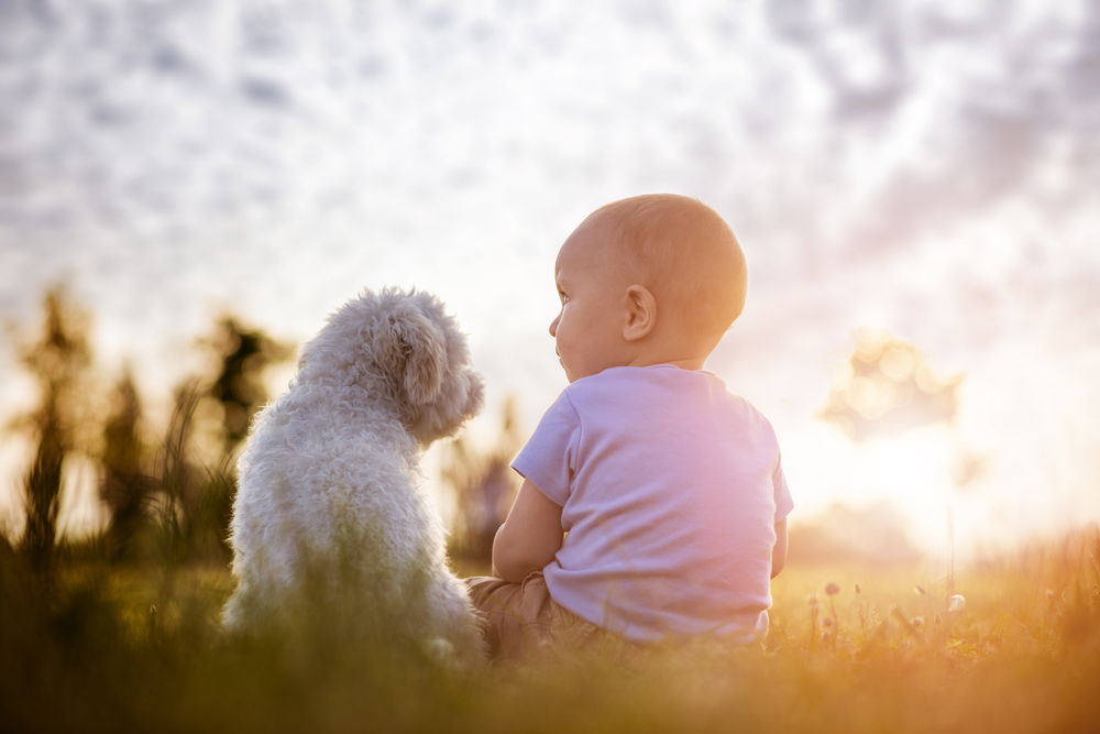 Kind und Hund: Wie es als Zweifachmama ist, auch noch einen Welpen zu erziehen